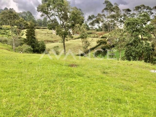 #VLT196 - Lote para Venta en Envigado - ANT - 3