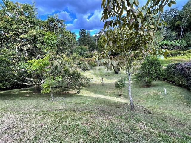 #VF307 - Finca para Venta en Rionegro - ANT - 2