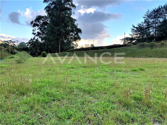 #VLT381 - Lote para Venta en Rionegro - ANT