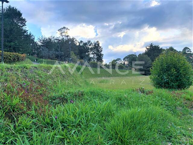 #VLT381 - Lote para Venta en Rionegro - ANT