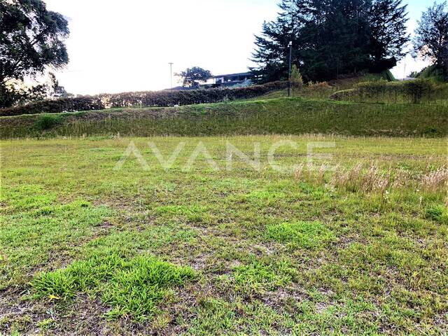 #VLT381 - Lote para Venta en Rionegro - ANT