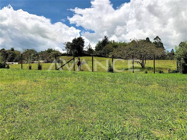 #VLT417 - Lote para Venta en Rionegro - ANT - 2