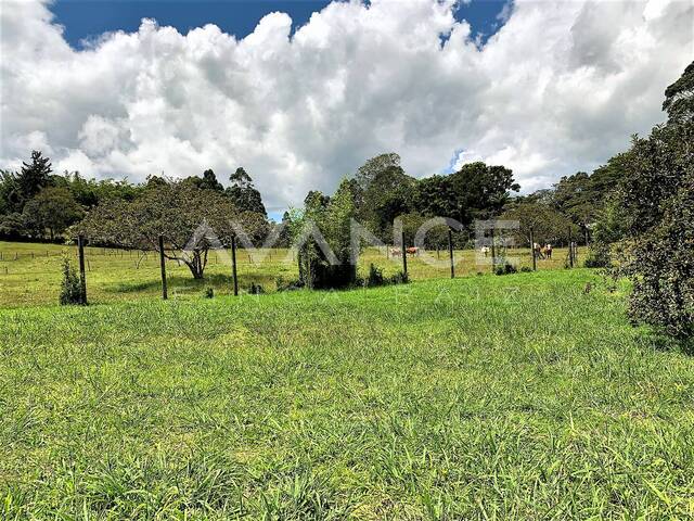 #VLT417 - Lote para Venta en Rionegro - ANT - 3