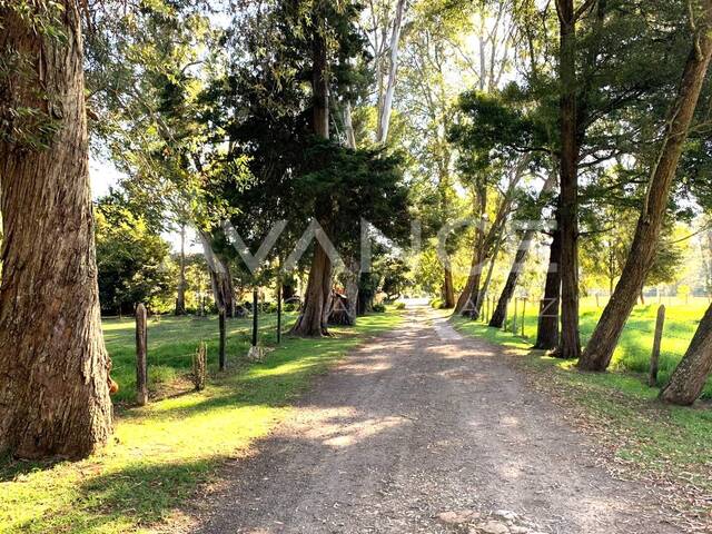 #VCL468 - Terreno para construcción para Venta en Rionegro - ANT - 2