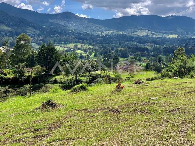 #VLT493 - Lote para Venta en Rionegro - ANT - 2