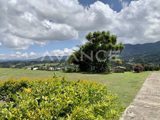 #VLT493 - Lote para Venta en Rionegro - ANT - 3