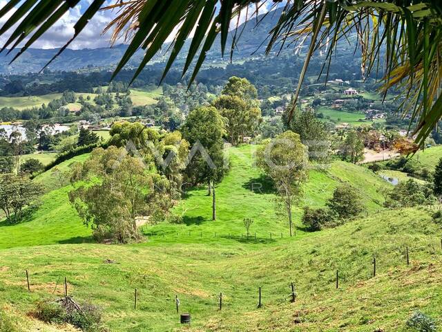 Venta en El Capiro - Rionegro