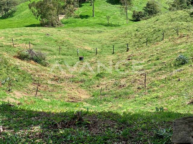 #VLT494 - Lote para Venta en Rionegro - ANT - 2