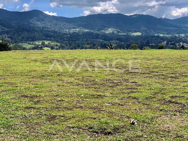 #VLT495 - Lote para Venta en Rionegro - ANT