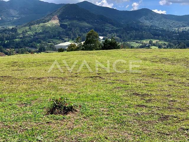 #VLT495 - Lote para Venta en Rionegro - ANT