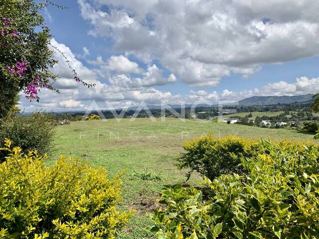 #VLT495 - Lote para Venta en Rionegro - ANT