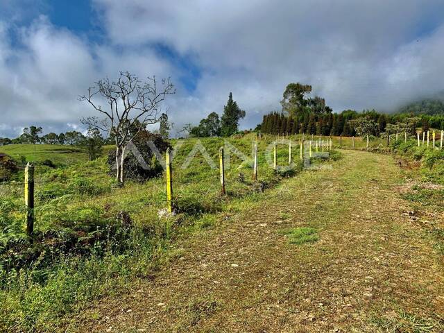 #VLT496 - Lote para Venta en Rionegro - ANT - 1