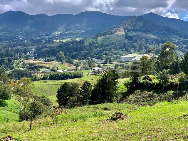 #VLT497 - Lote para Venta en Rionegro - ANT