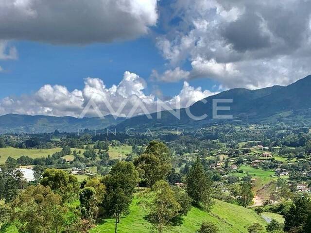 #VLT497 - Lote para Venta en Rionegro - ANT