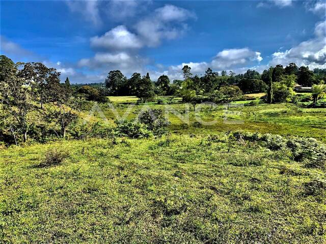 #VLT498 - Lote para Venta en Rionegro - ANT - 1