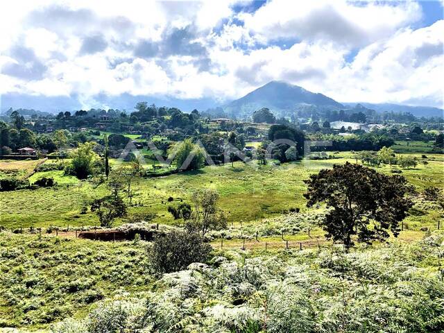 #VLT498 - Lote para Venta en Rionegro - ANT - 3