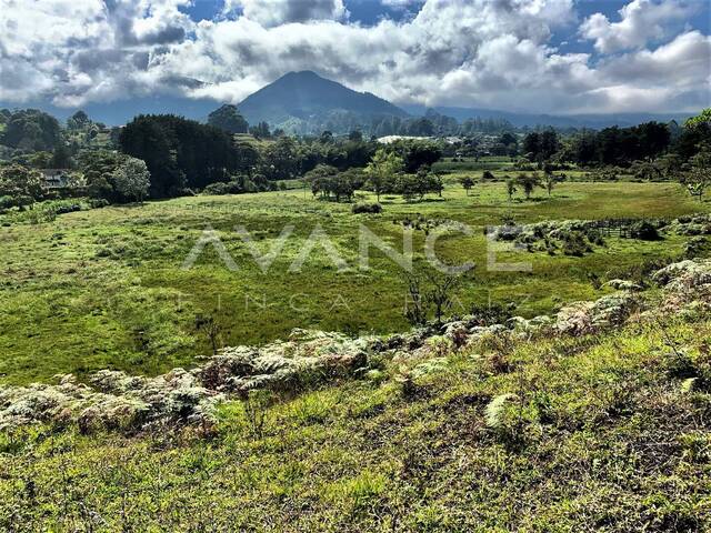 #VLT499 - Lote para Venta en Rionegro - ANT - 1