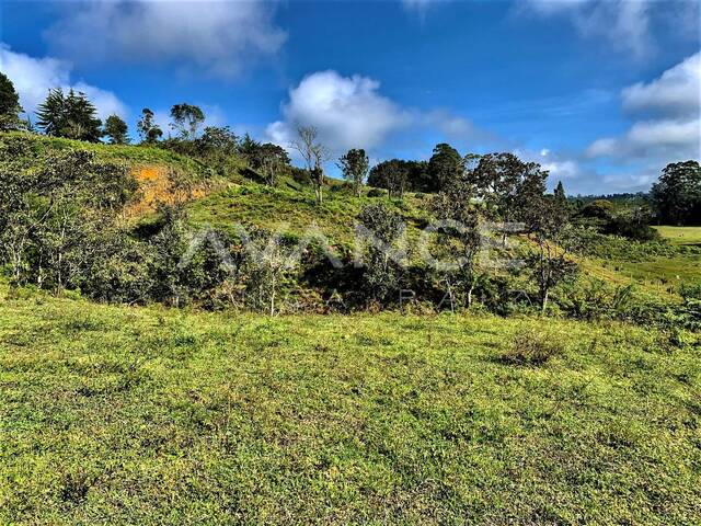 #VLT489 - Lote para Venta en Rionegro - ANT - 2